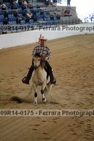 Proof 09r14-0175