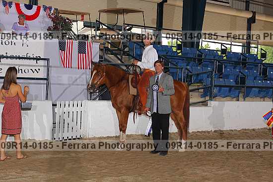 Proof 09r14-0185
