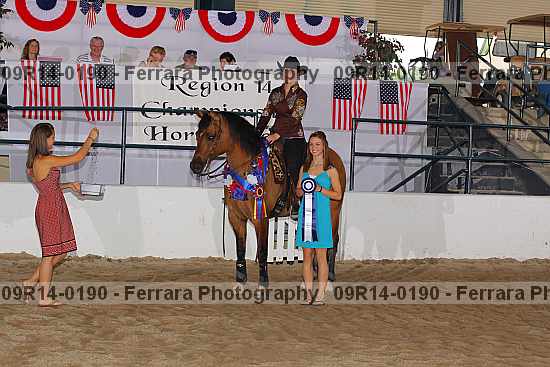Proof 09r14-0190
