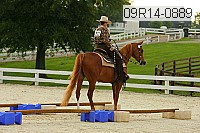 09r14-0889 proof