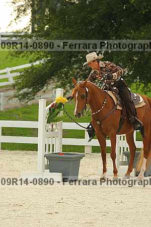 Proof 09r14-0890