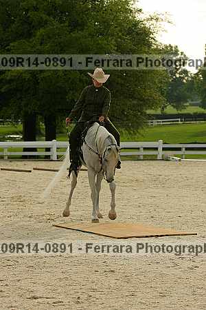 Proof 09r14-0891