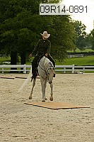 09r14-0891 proof
