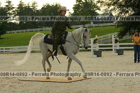 Proof 09r14-0892