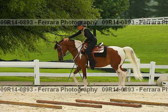 Proof 09r14-0893