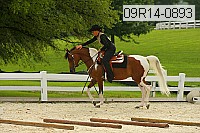09r14-0893 proof