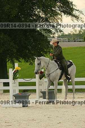 Proof 09r14-0894