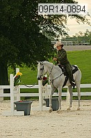 09r14-0894 proof