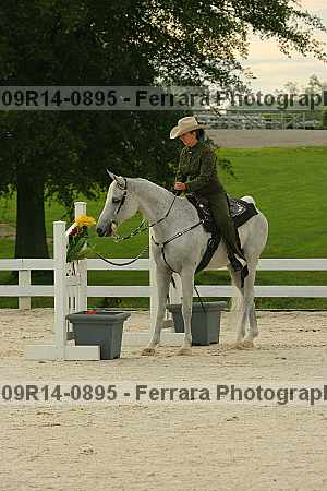 Proof 09r14-0895