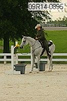 09r14-0895 proof