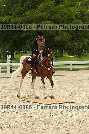Proof 09r14-0896