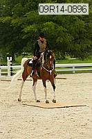09r14-0896 proof