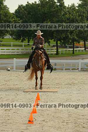 Proof 09r14-0903