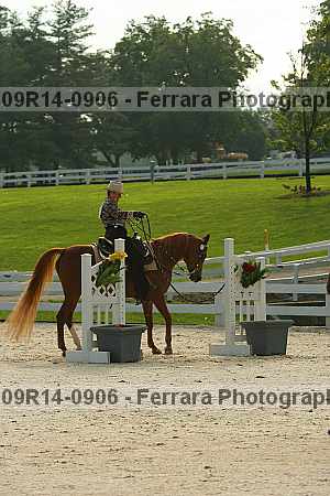 Proof 09r14-0906