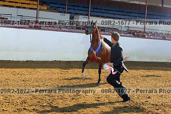 Proof 09r2-1677