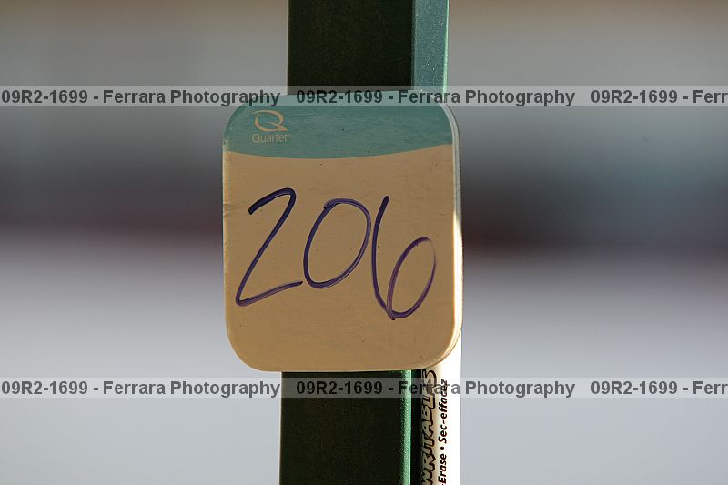 Proof 09r2-1699