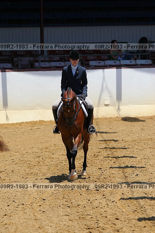 Proof 09r2-1993