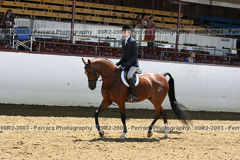 Proof 09r2-2003