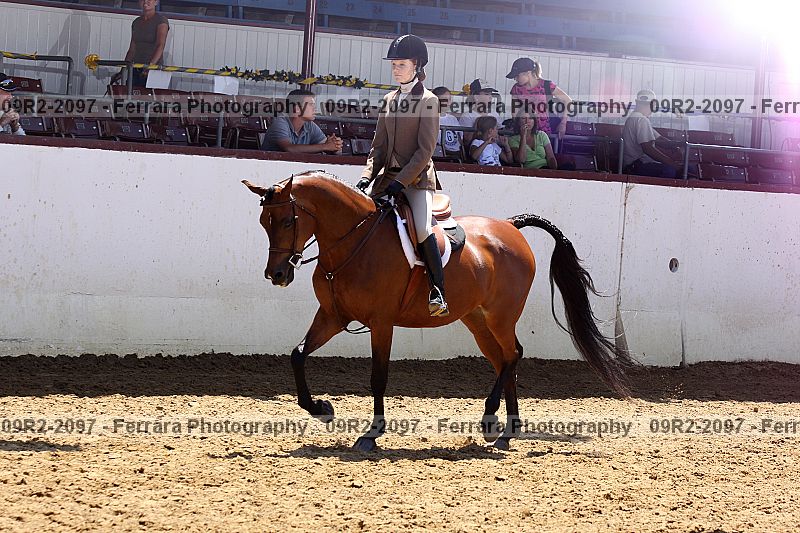 Proof 09r2-2097