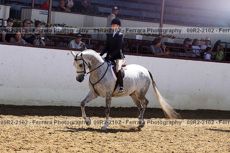 Proof 09r2-2102