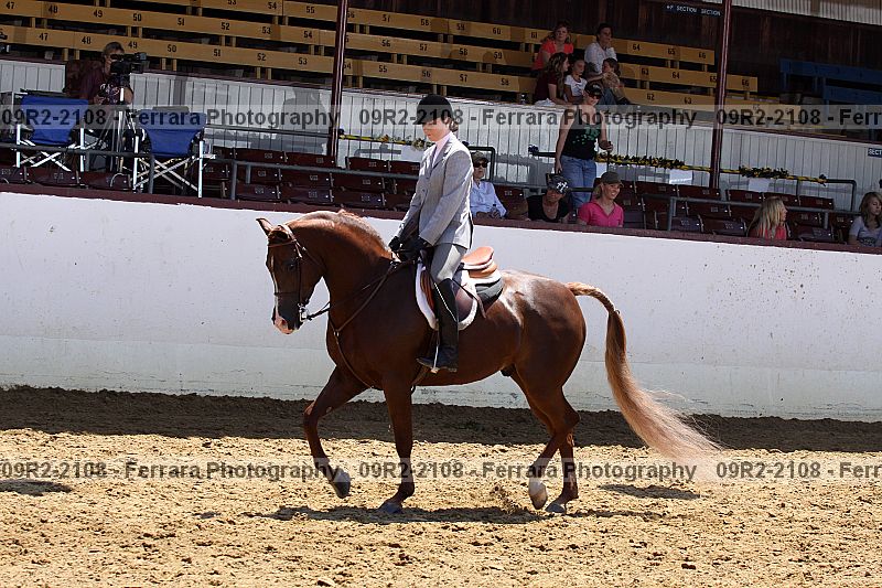 Proof 09r2-2108