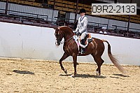 09r2-2133 proof