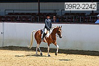 09r2-2242 proof