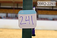 09r2-2293 proof