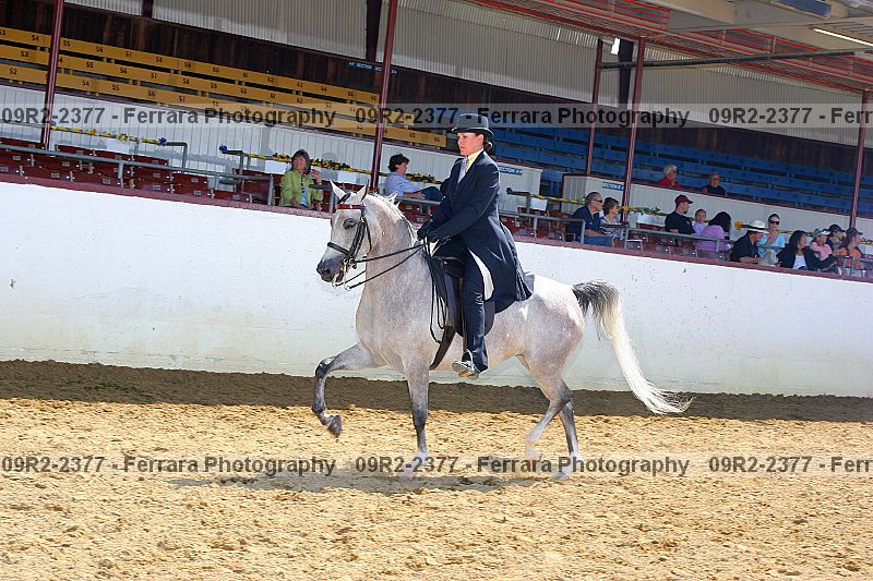 Proof 09r2-2377
