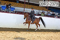 09r2-2379 proof