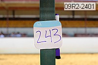 09r2-2401 proof