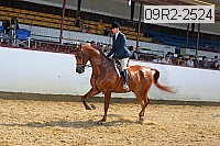 09r2-2524 proof