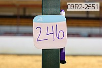09r2-2551 proof
