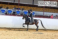 09r2-2594 proof