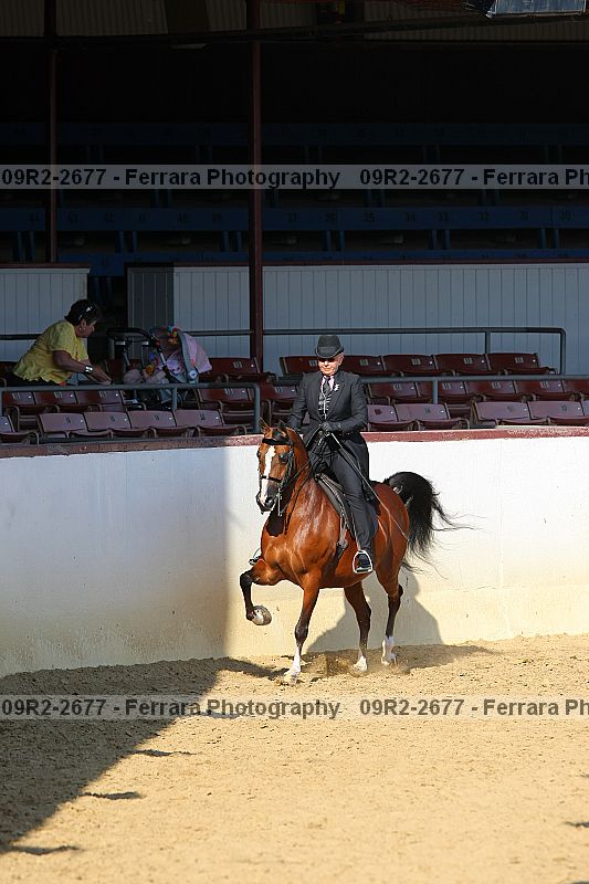 Proof 09r2-2677