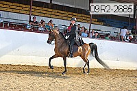 09r2-2685 proof