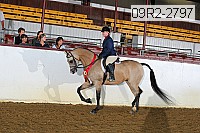 09r2-2797 proof