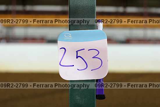 Proof 09r2-2799