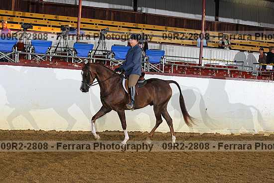 Proof 09r2-2808