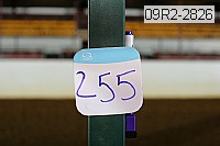 09r2-2826 proof