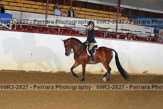 Proof 09r2-2827