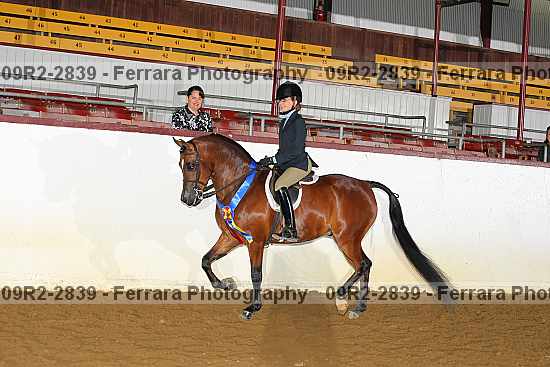 Proof 09r2-2839