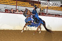 09r2-2860 proof