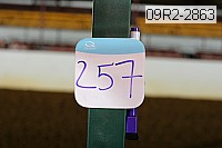 09r2-2863 proof