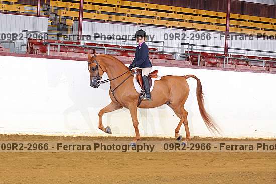 Proof 09r2-2966
