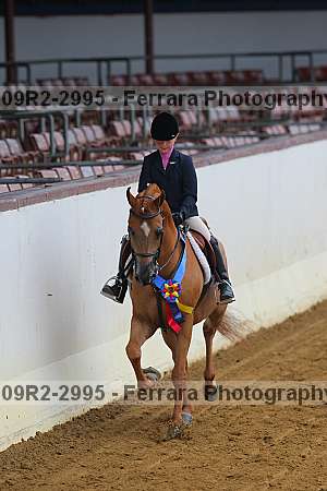 Proof 09r2-2995