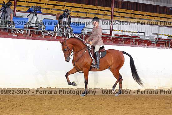 Proof 09r2-3057
