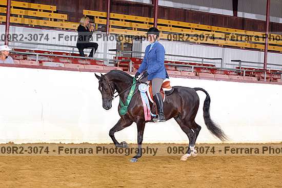 Proof 09r2-3074