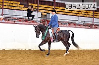 09r2-3074 proof