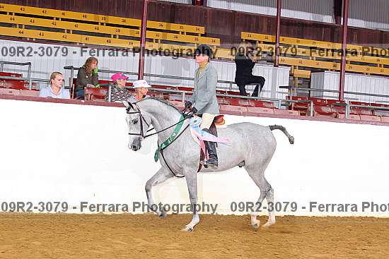 Proof 09r2-3079